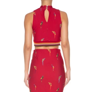 TOP GOLINHA ARARITAS