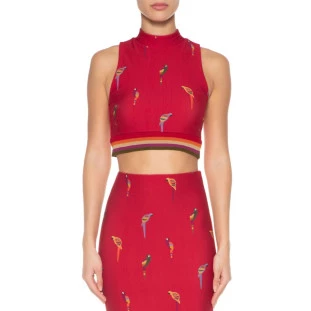 TOP GOLINHA ARARITAS